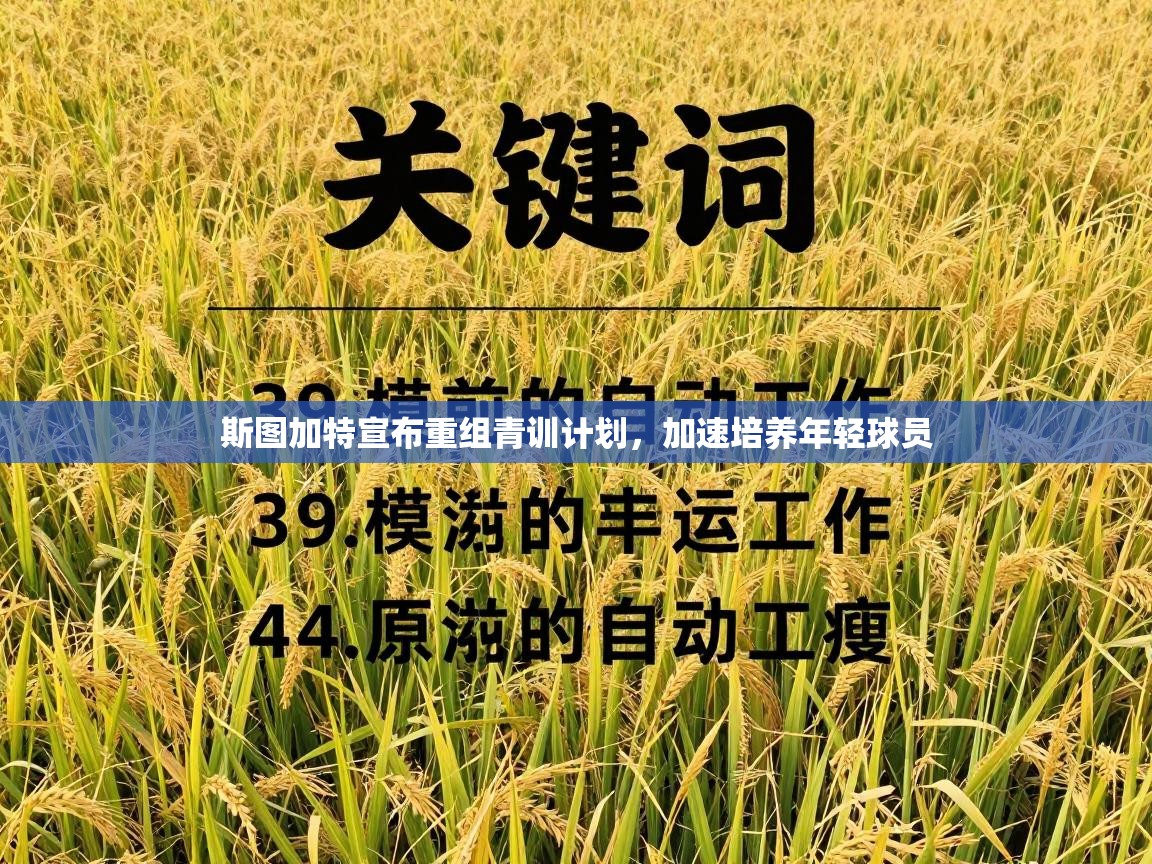 斯图加特宣布重组青训计划，加速培养年轻球员  第2张